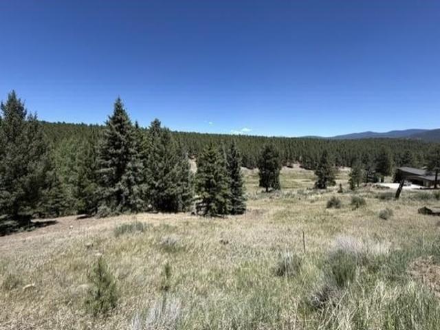 Land for sale in Angel Fire, New Mexico