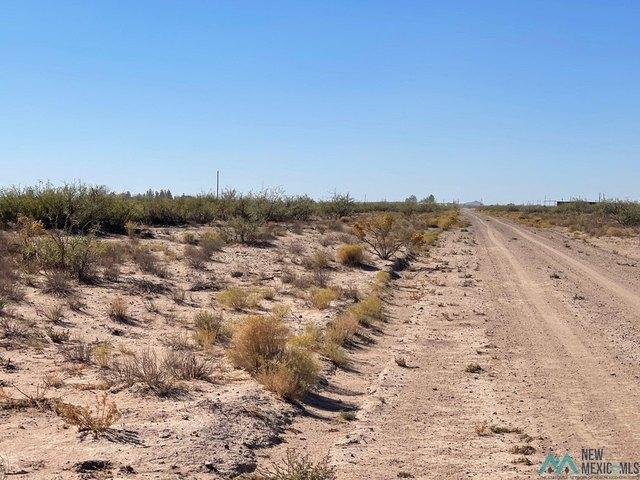 Land for sale in Luna, New Mexico