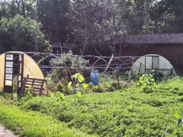 Terreno in vendita a Bibbiena, Toscana