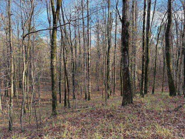 Land for sale in Grenada, Mississippi