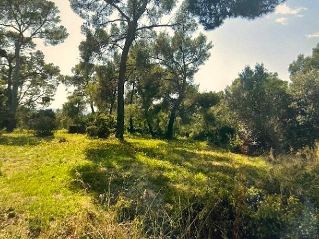 Terrain vente à Arrondissement de Toulon, Sanary-sur-mer