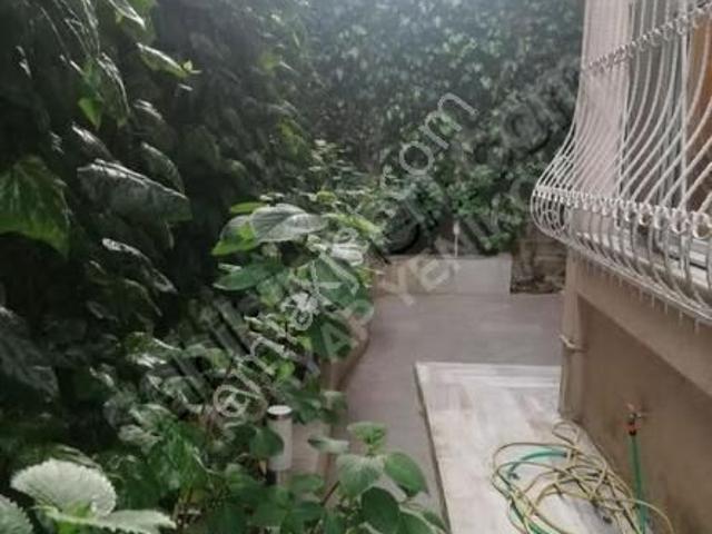 Tarabya Mahallesi, Sariyer içerisinde kiralık mülk