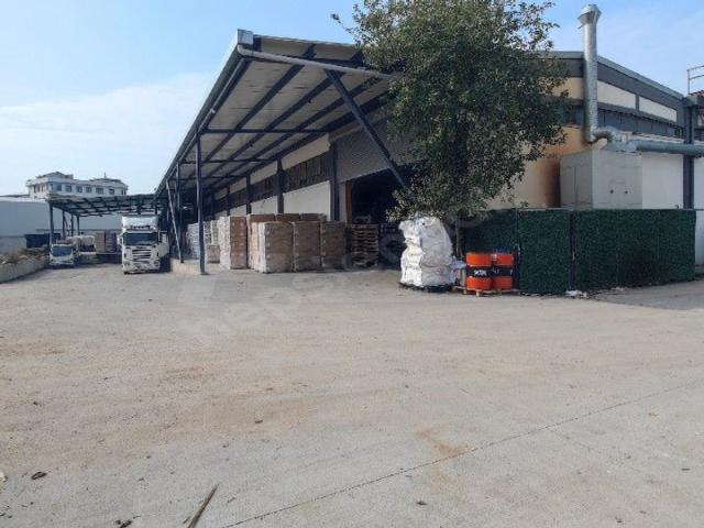 Sanayi Mahallesi, Pendik içerisinde satılık Fabrika