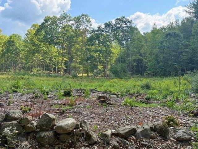 Land for sale in New Hampshire