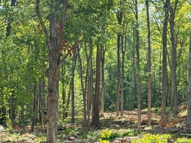 Land for sale in New Hampshire