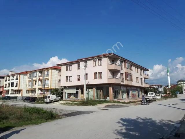 Düzce Merkez, Düzce içerisinde kiralık mülk