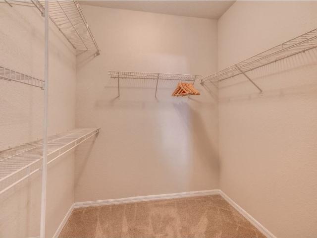 Apartment for rent in Tampa