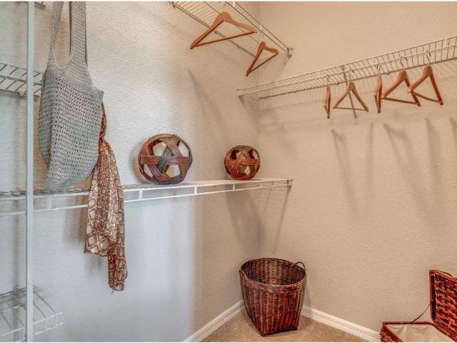 Apartment for rent in Tampa, Florida