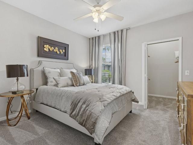 Apartment for rent in Tampa, Florida