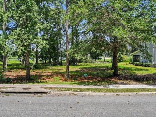 Land for sale in Waverly, Georgia