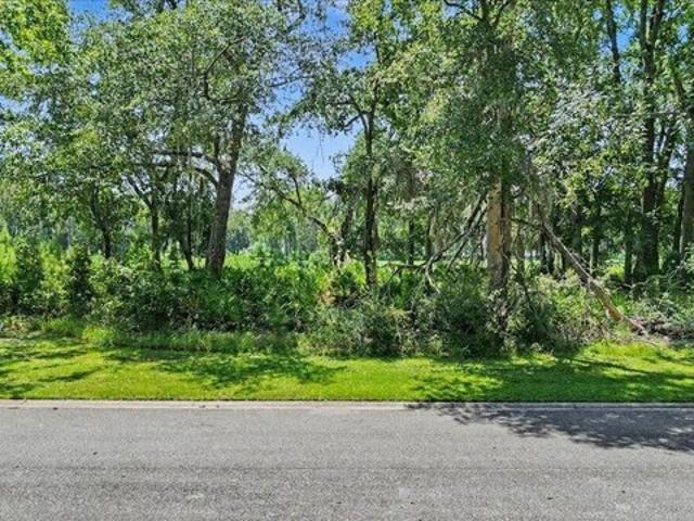 Land for sale in Waverly, Georgia