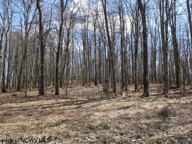 Land for sale in Masontown, West Virginia