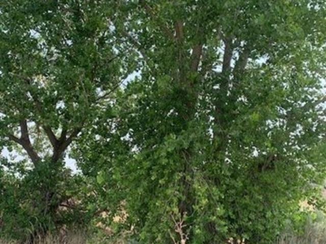 Land for sale in New Plymouth, Idaho