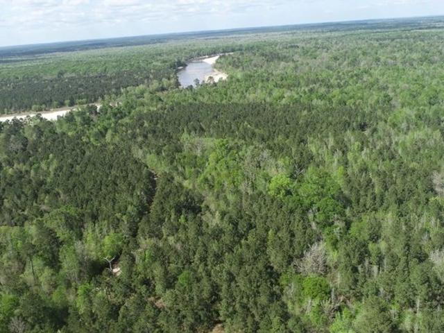 Land for sale in Merryville, Beauregard Parish