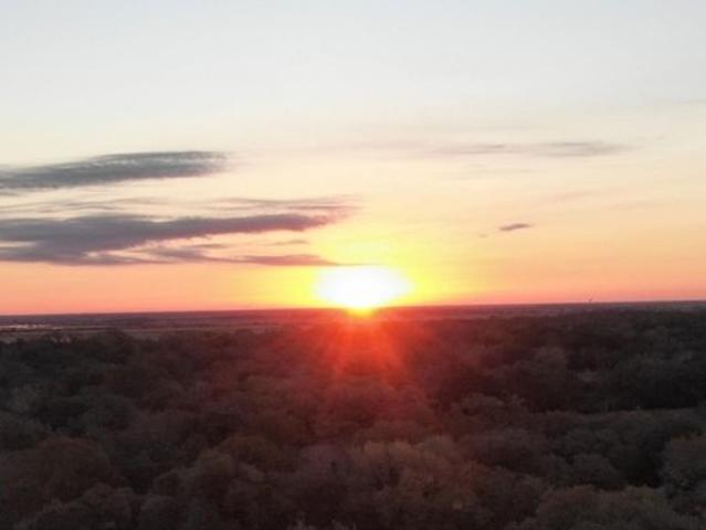 Land for sale in Cat Spring, Texas