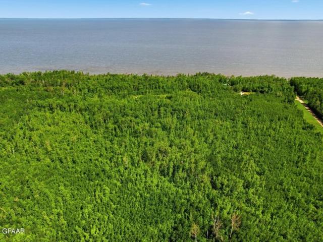Land for sale in Beltrami, Minnesota