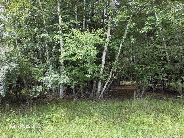 Land for sale in Gladwin, Michigan