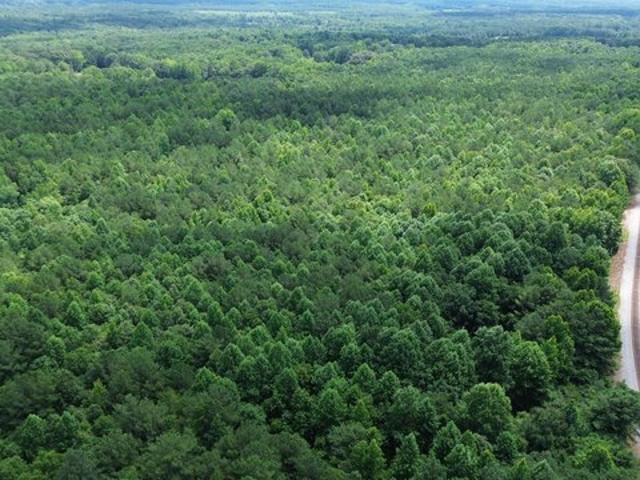 Land for sale in Alabama