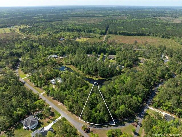Land for sale in Waverly, Georgia
