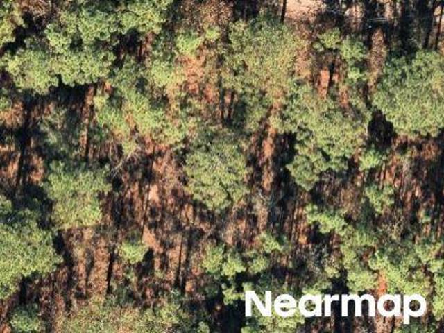 Land for sale in Florida
