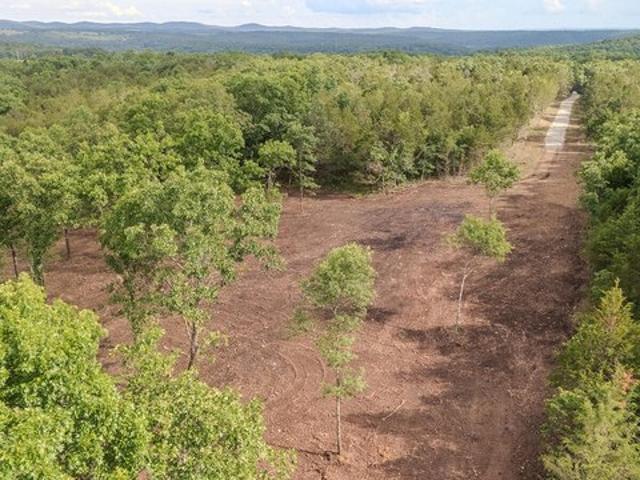 Land for sale in Kissee Mills, Missouri