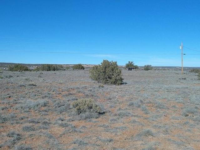 Land for sale in Sanders, Arizona