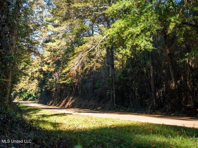 Land for sale in Meridian, Mississippi