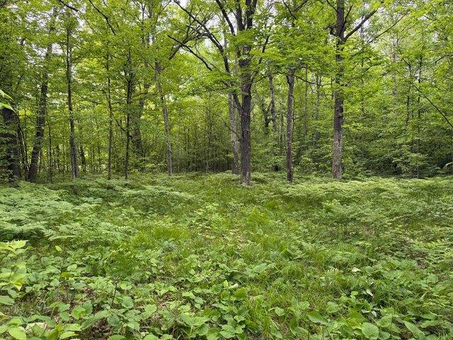 Land for sale in Pine City, Minnesota