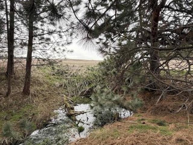 Land for sale in Winchester, Idaho