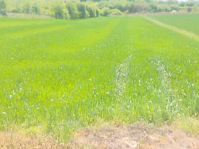 Grunt na sprzedaż w Sandomierz, powiat sandomierski