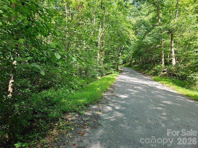 Land for sale in Rutherford, North Carolina