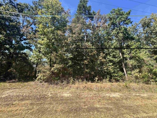 Land for sale in Counce, West Tennessee