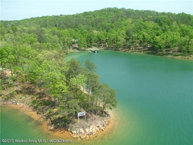 Land for sale in Arley, Alabama