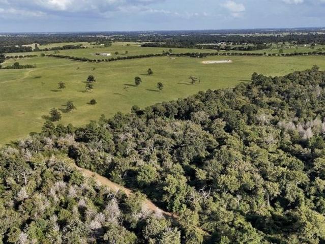 Land for sale in Waller, Texas