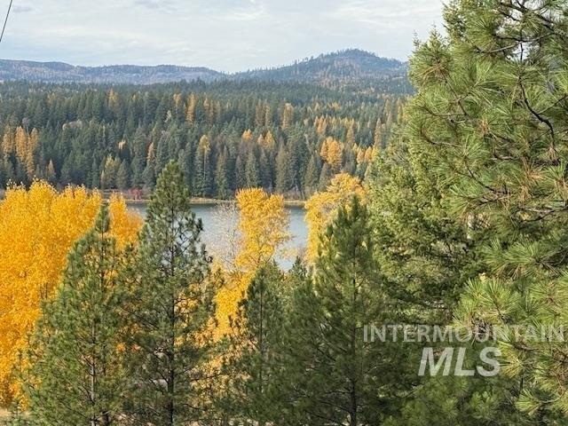 Land for sale in Cocolalla, Idaho