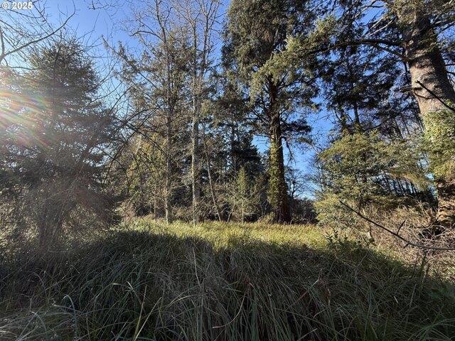 Land for sale in Ocean Park, Washington