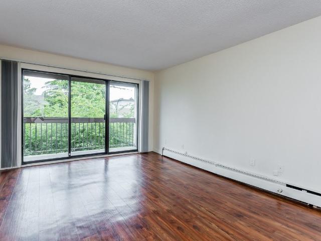 Apartment for rent in Vancouver, British Columbia