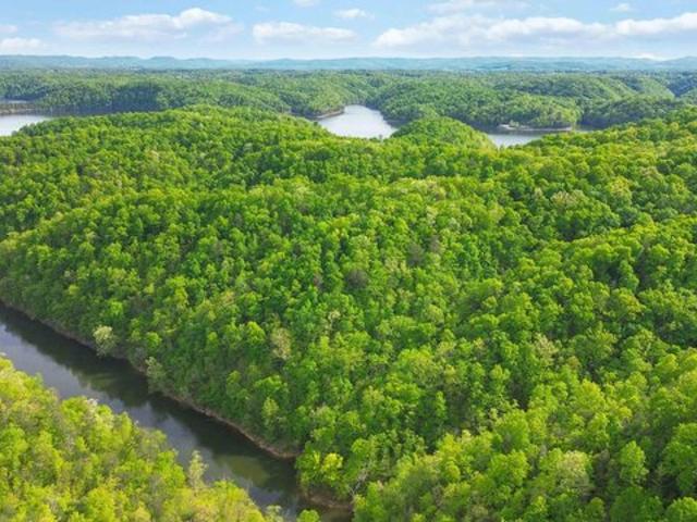 Land for sale in Monticello, Kentucky