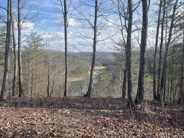 Land for sale in Monticello, Kentucky
