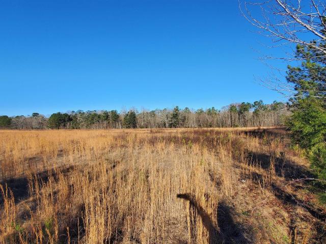 Land for sale in Elmore, Alabama