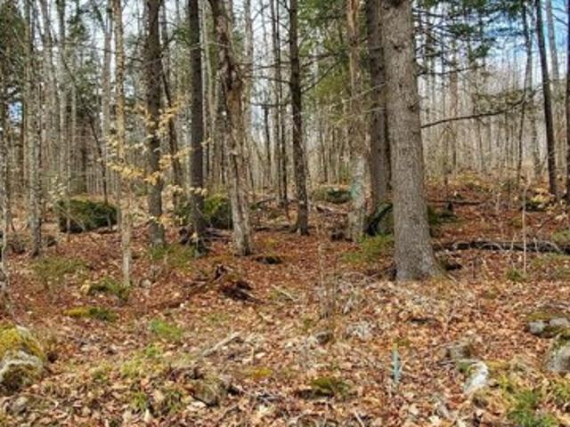 Land for sale in Danforth, Maine