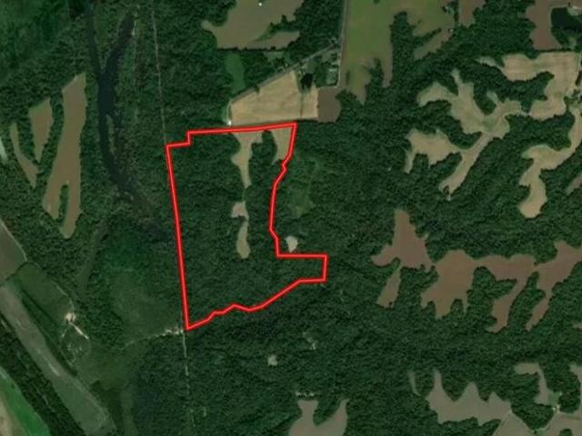 Land for sale in Bardwell, Kentucky