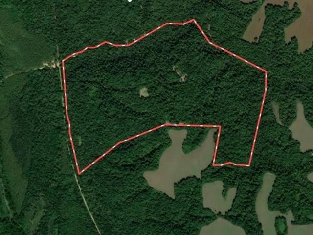 Farm for sale in Bardwell, Kentucky