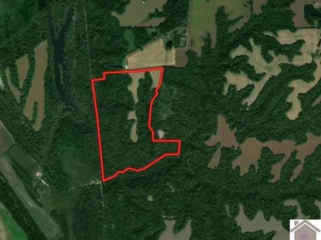 Land for sale in Bardwell, Kentucky