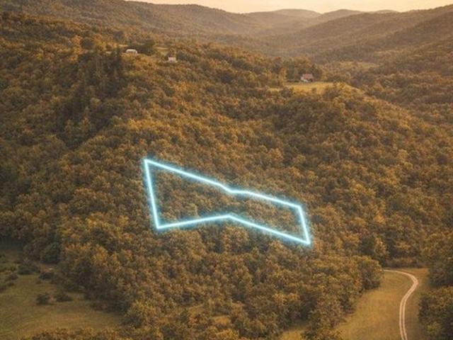 Land for sale in Traphill, North Carolina