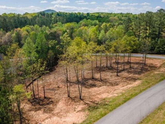 Land for sale in Blairsville