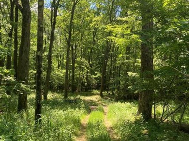 Land for sale in Somerset, Pennsylvania