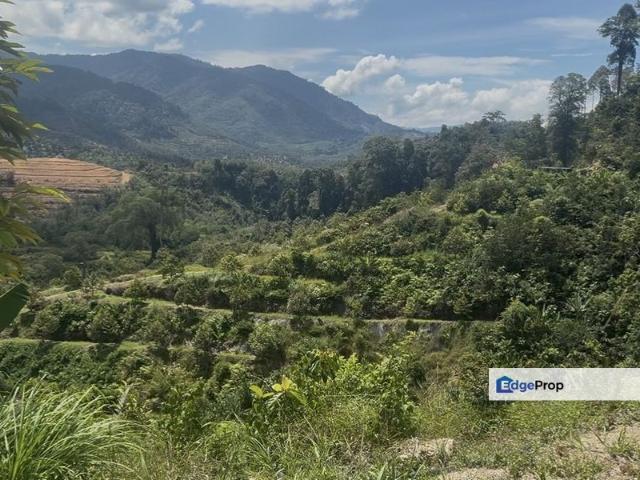 Shop for sale in Pahang