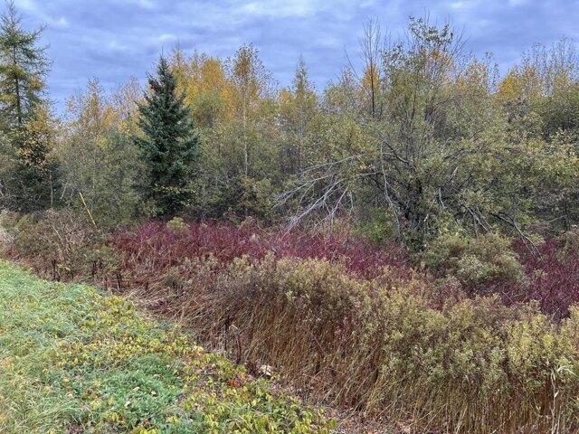 Land for sale in Sangerville, Maine