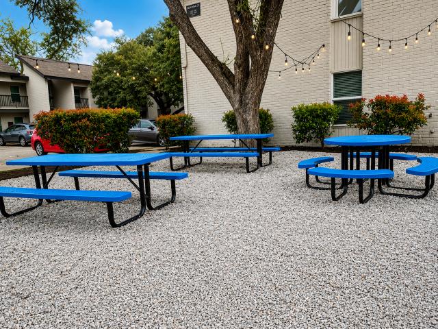Apartment for rent in Austin, Texas